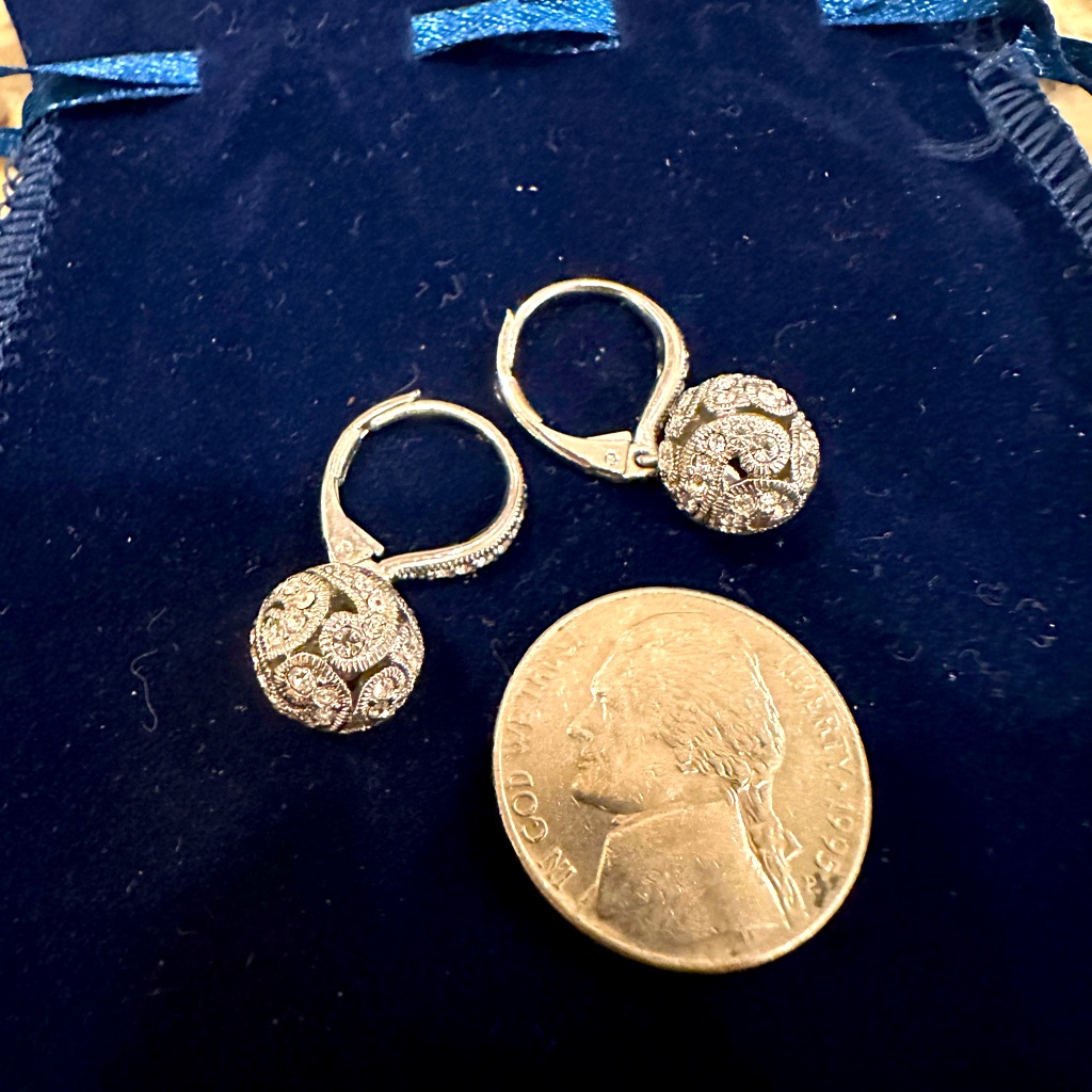 Sparkly Silver Earrings